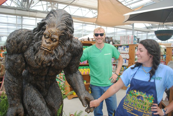 Garden Time employees Don Probst (brother of greenhouse manager Andy Probst) and Angelica “Daisy” Daley welcome Bigfoot, a lifelike poly-resin outdoor statue, to the greenhouse along U.S. Route 7 in Rutland Town. The retailer is asking customers to suggest a name for the legendary apelike beast.